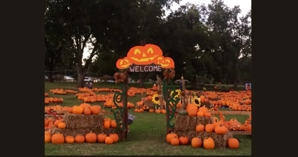 Best Illuminated Pumpkin Patch Entrance Sign
