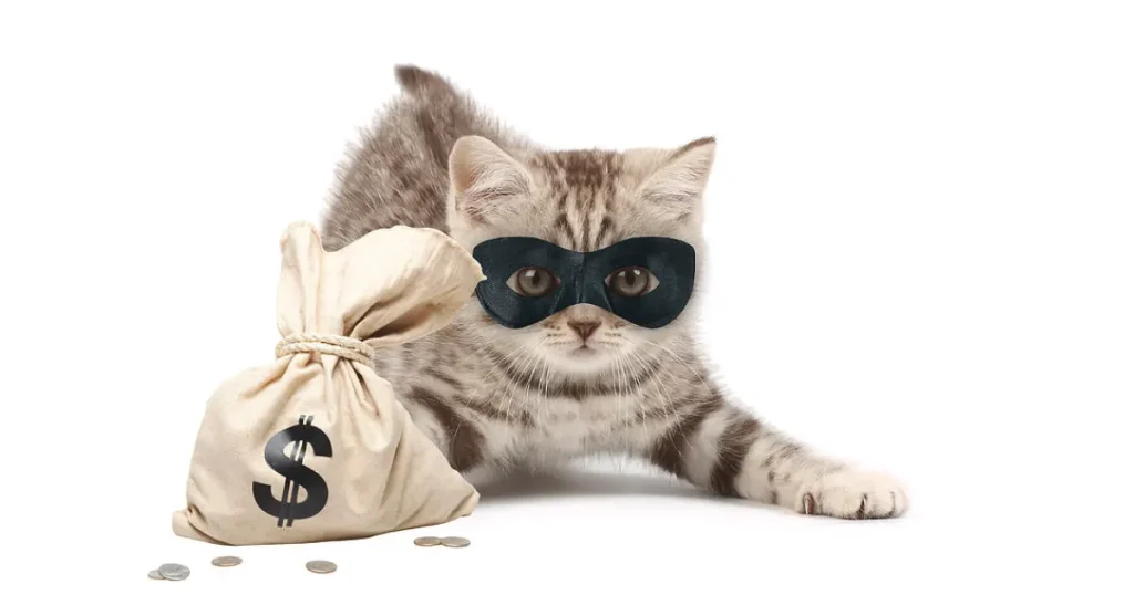 Stealthy Striped Cat Burglar